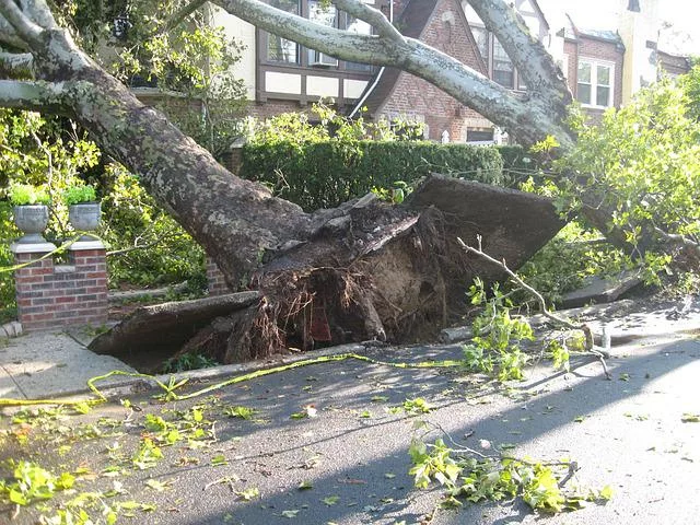 Tornado