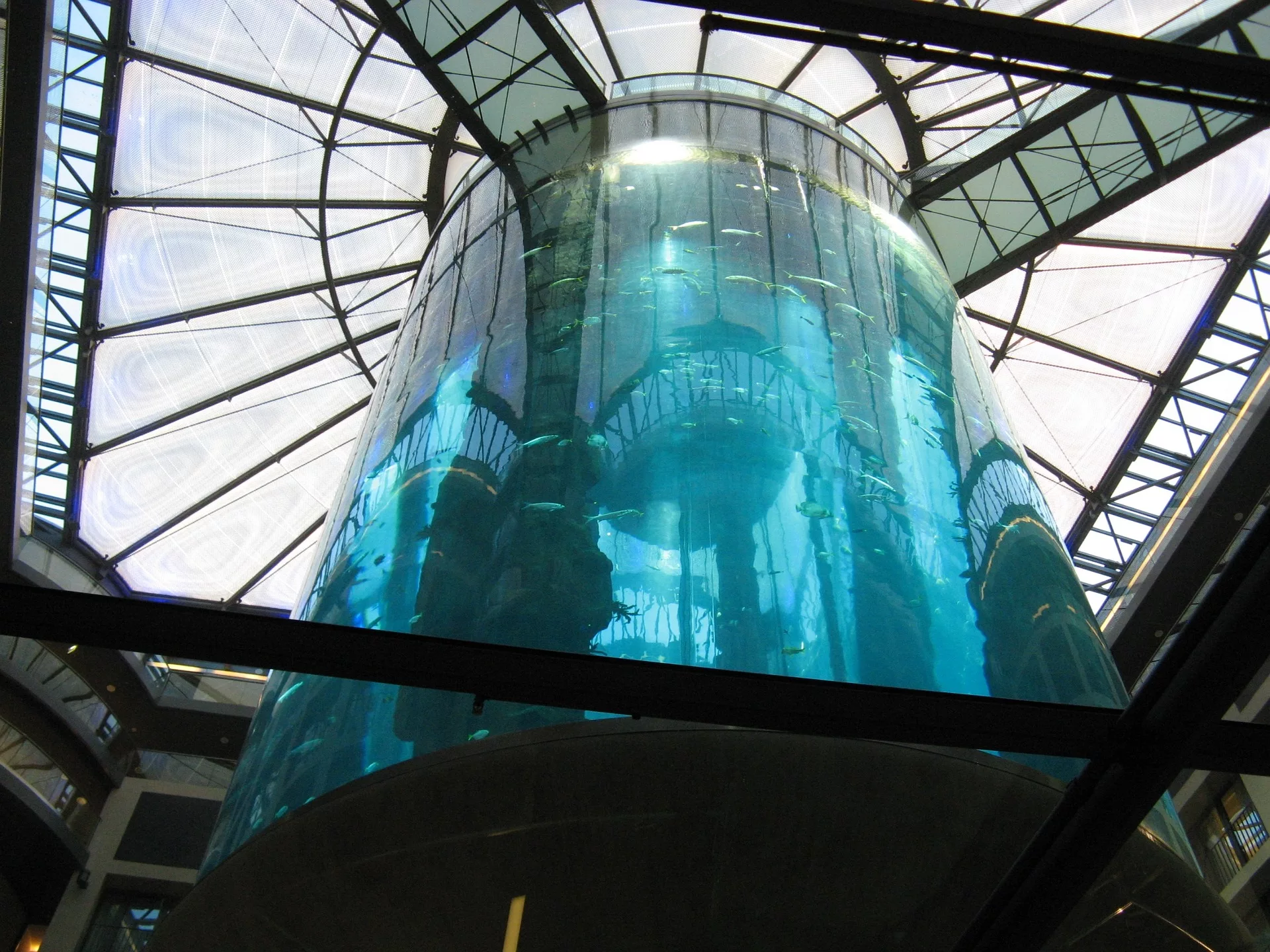 Aquadom in Berlin geplatzt. 1 Aquarium Berlin