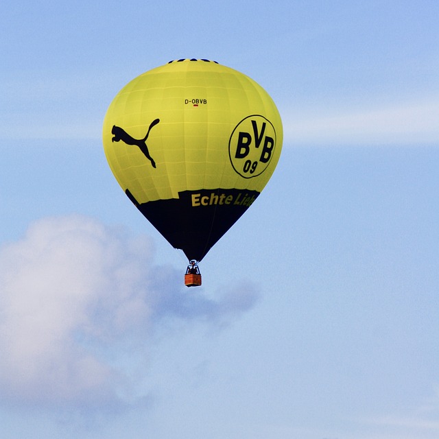 Borussia Dortmund