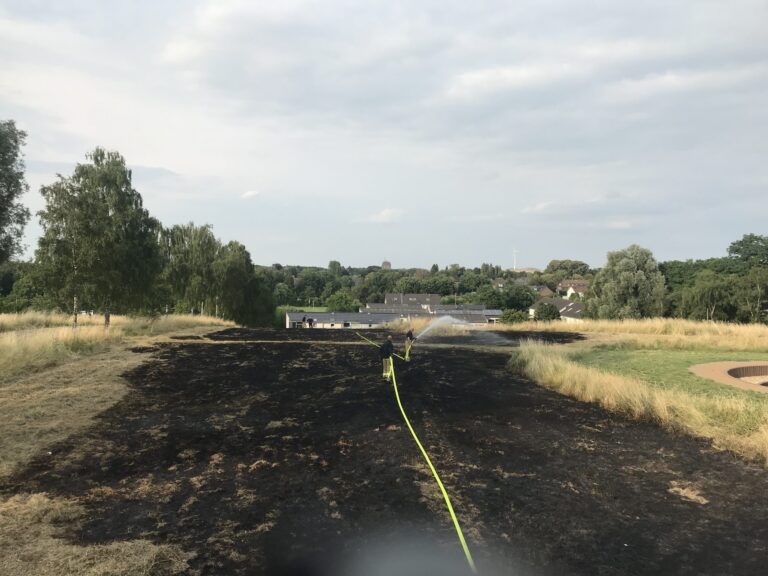 Flächenbrand