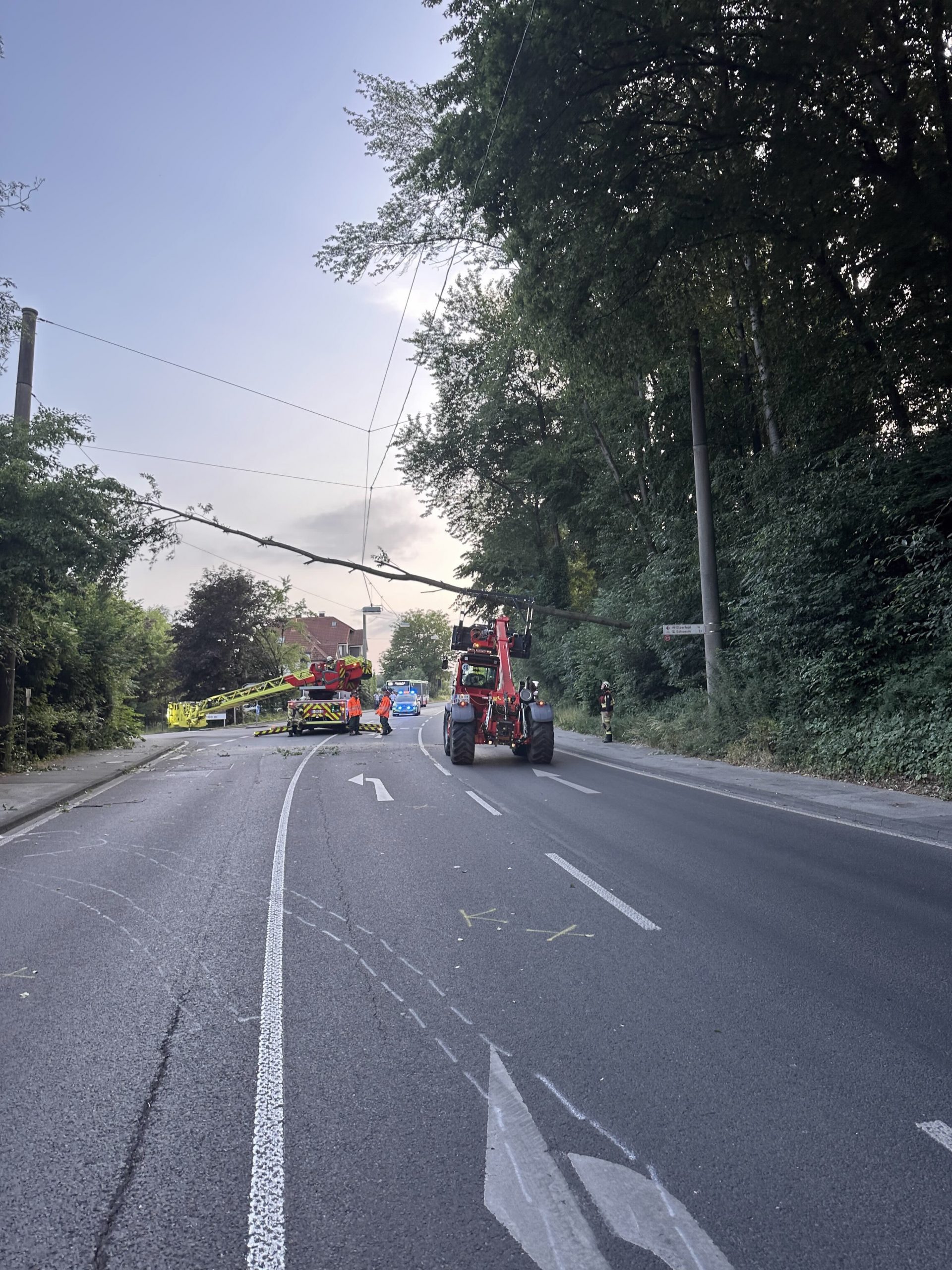 Ennepetal: Baum auf Oberleitung 1 buntes-nrw