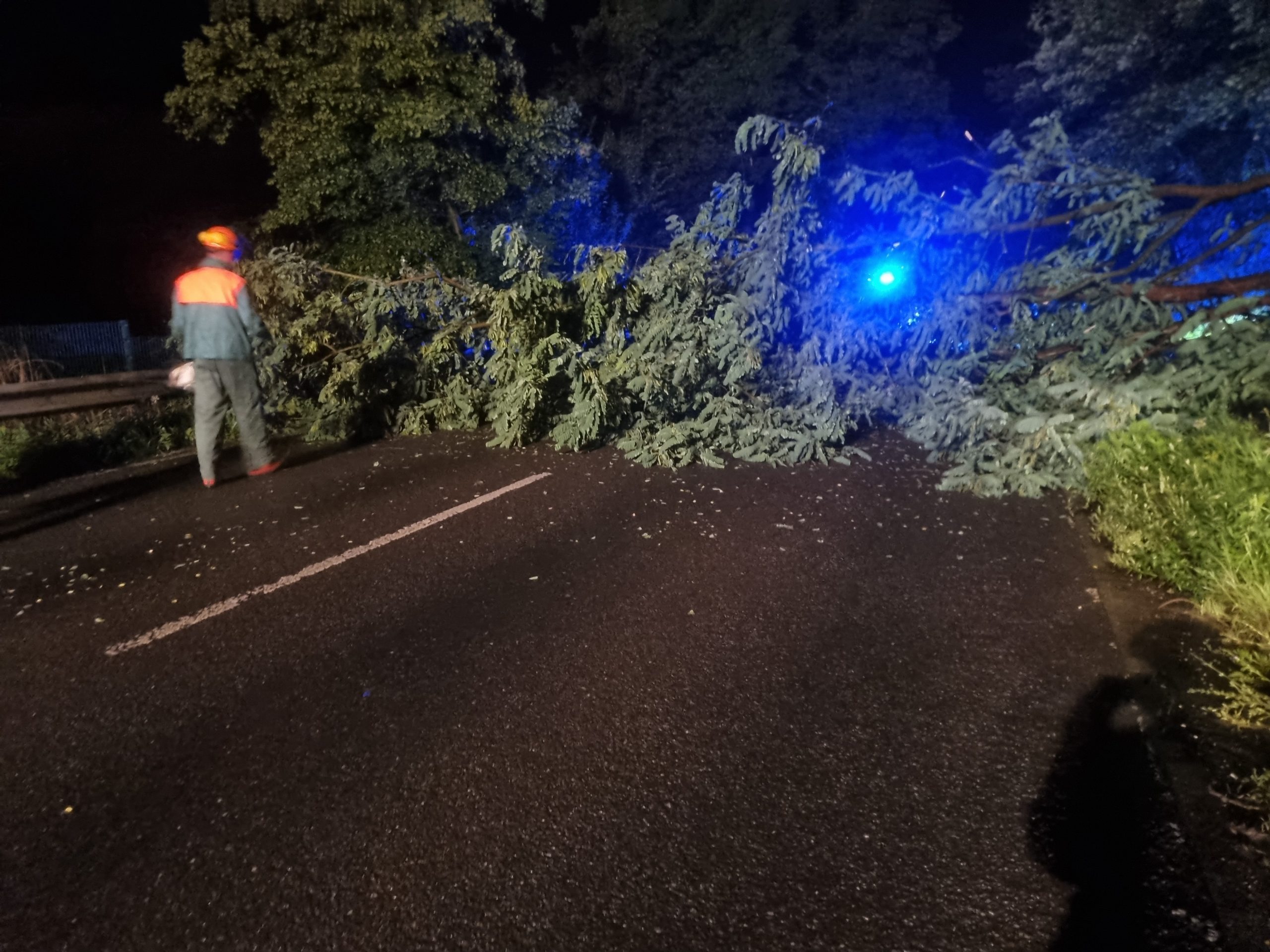 Xanten: Bäume versperrten B57 1 Xanten: Bäume versperrten B57