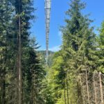 Skywalk Willingen
