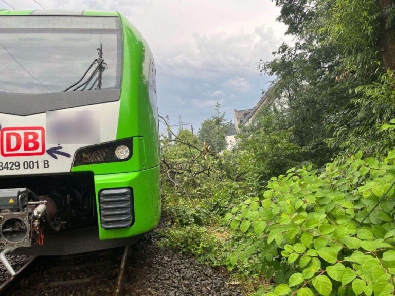 Sankt Augustin: S9 kollidiert mit umgestürztem Baum