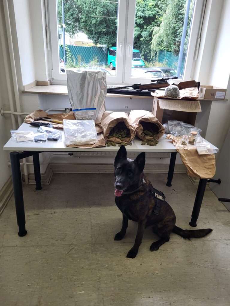 Drogenspürhund