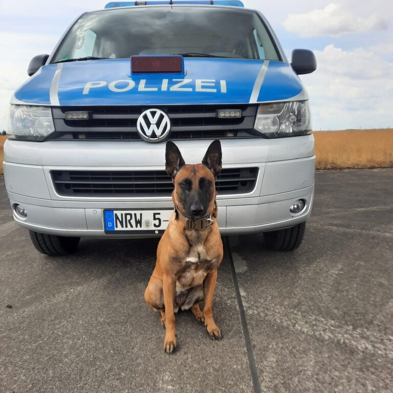 Dortmund: Diensthündin Skadi stellt Einbrecher