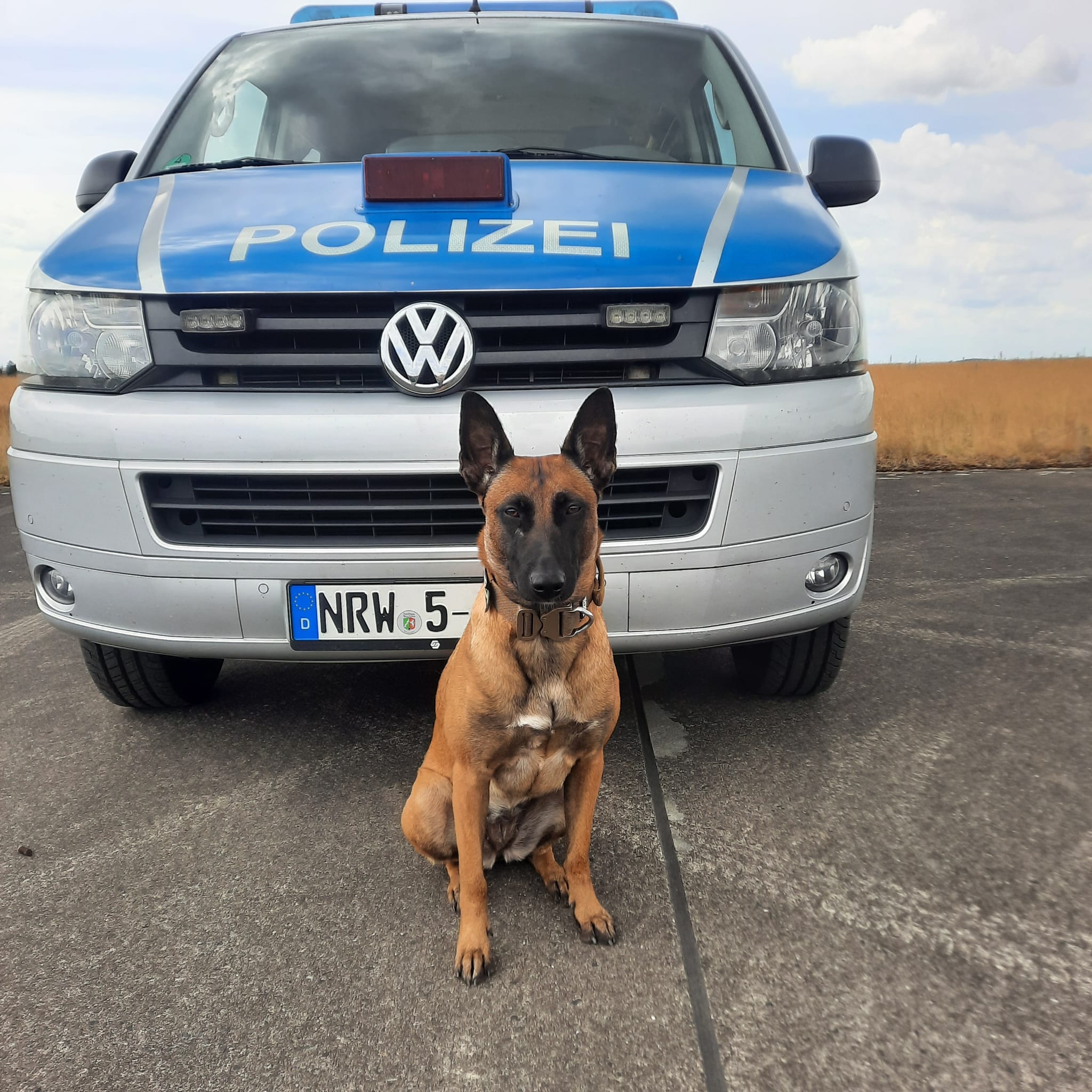 Dortmund: Diensthündin Skadi stellt Einbrecher 1 Dortmund: Diensthündin Skadi stellt Einbrecher