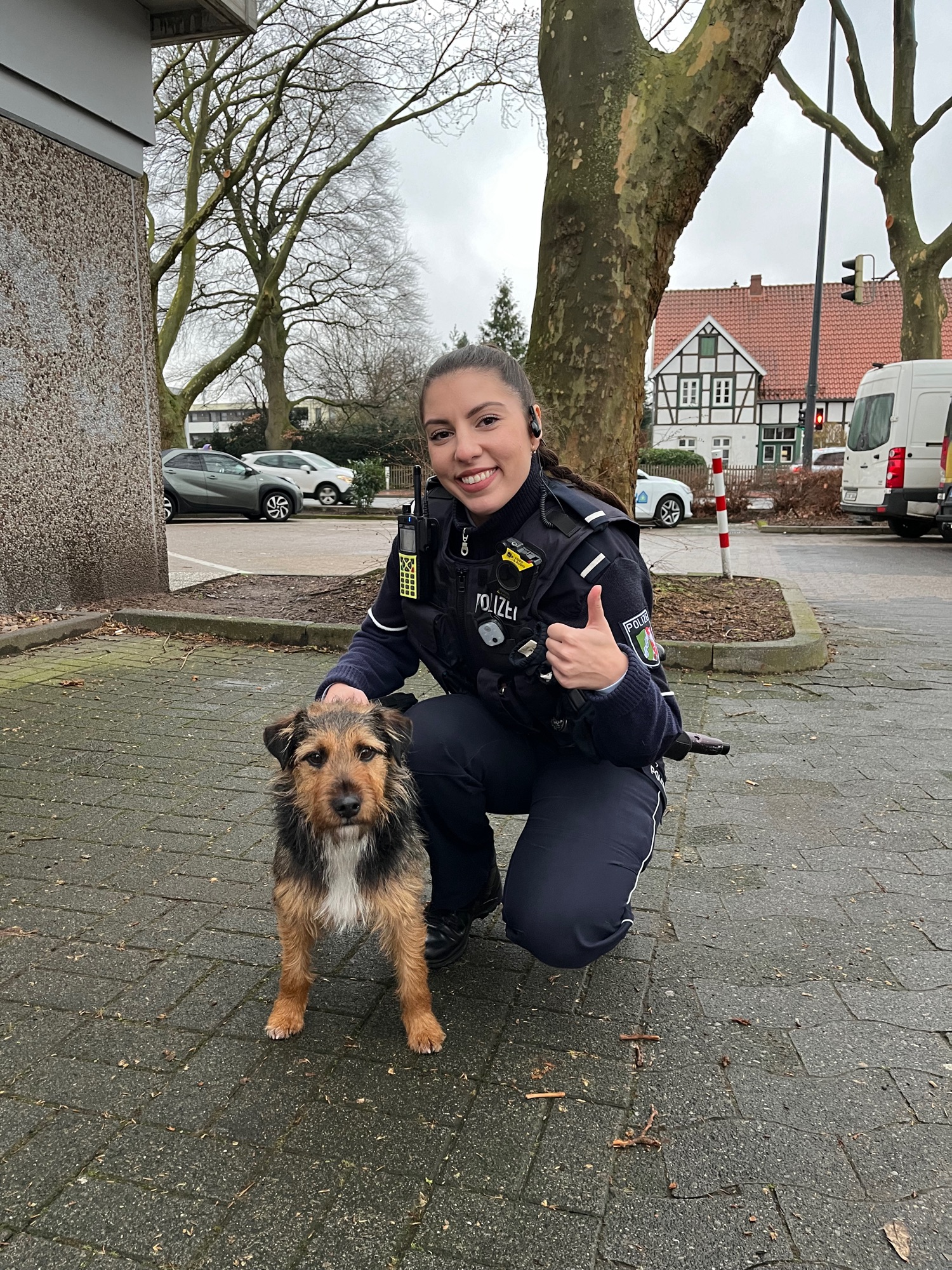 Gütersloh: Terrier Charlieist ist wieder da 2 Buntes-NRW