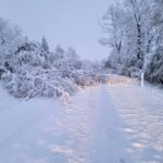 Schnee 21.4.