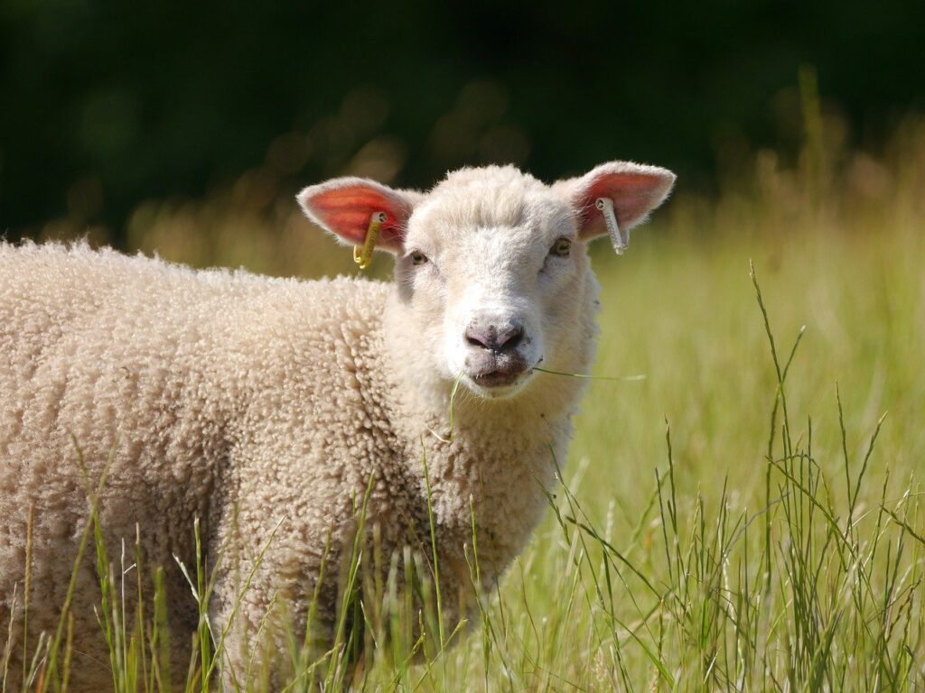 Buntes-NRW