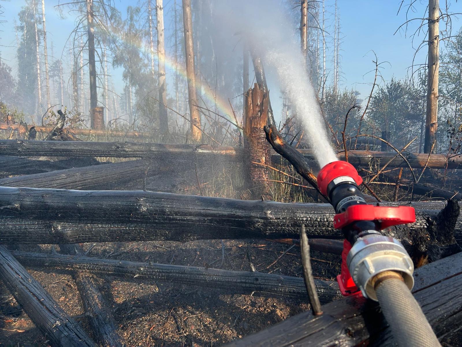 Soest: Waldbrand am Möhnesee 1 NRW-Kompakt