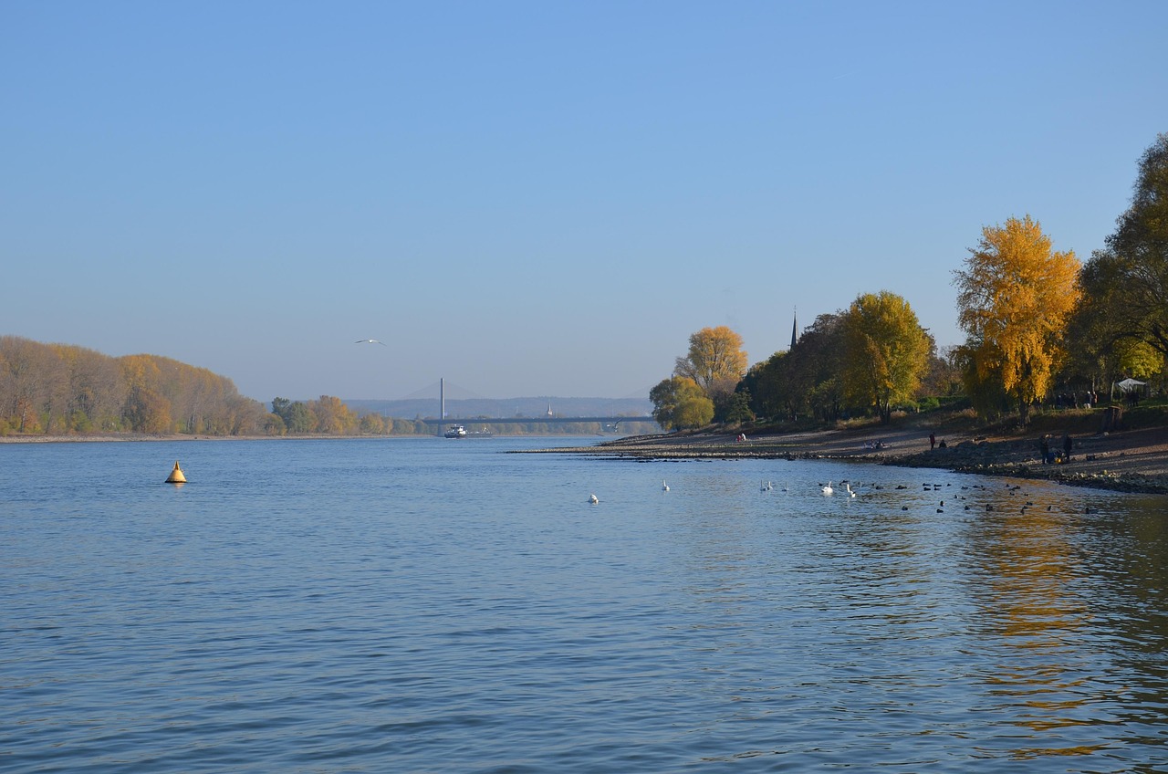 43-Jährige schwimmt im Rhein und bleibt unverletzt 1 NRW-Kompakt