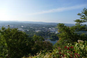 P1190006