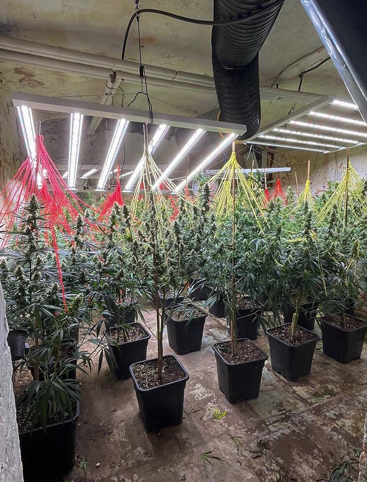 Lippe: Erfolgreicher Schlag gegen Rauschgiftbande 1 NRW-Kompakt