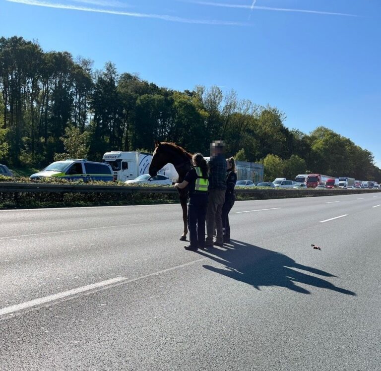 Dortmund: Im Geistergalopp über die A2