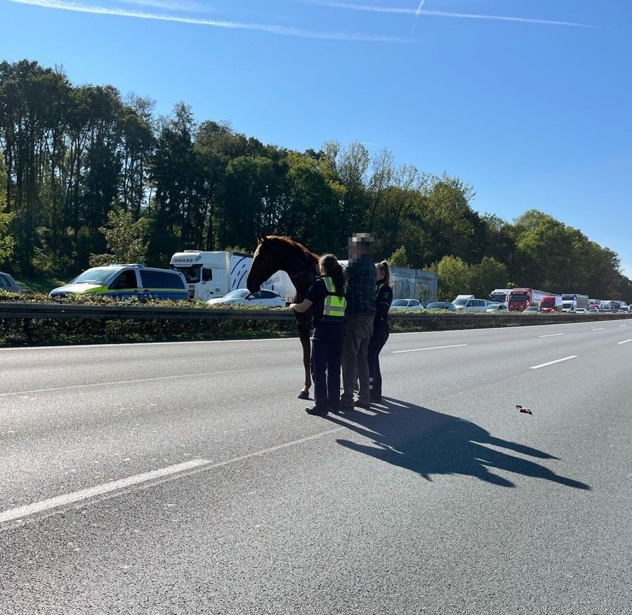 Dortmund: Im Geistergalopp über die A2